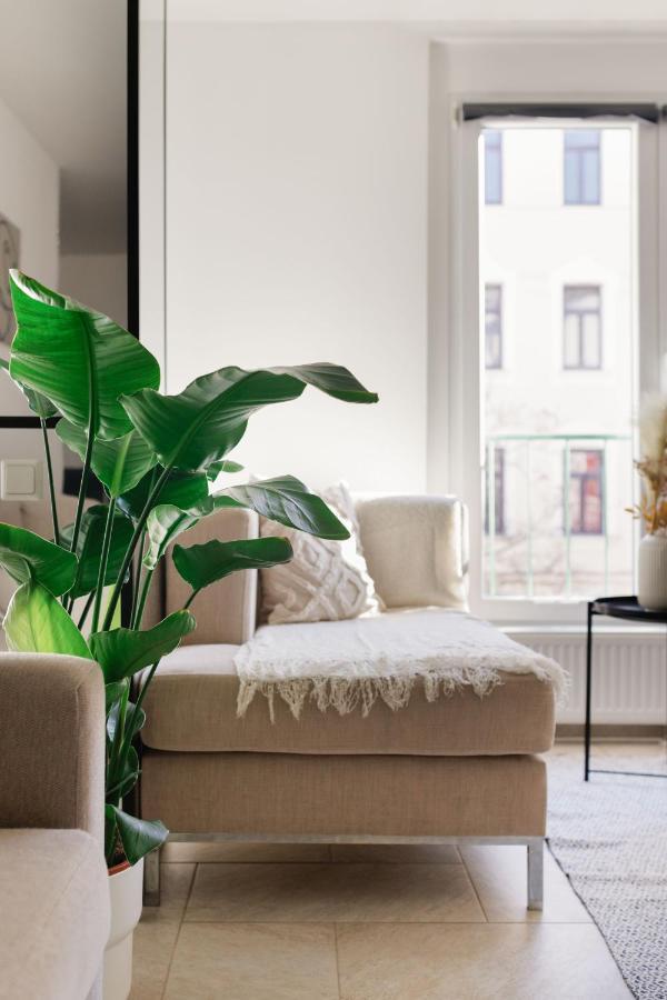 Bright & Cozy 3 Room Apartment Near Everything Wien Exteriör bild